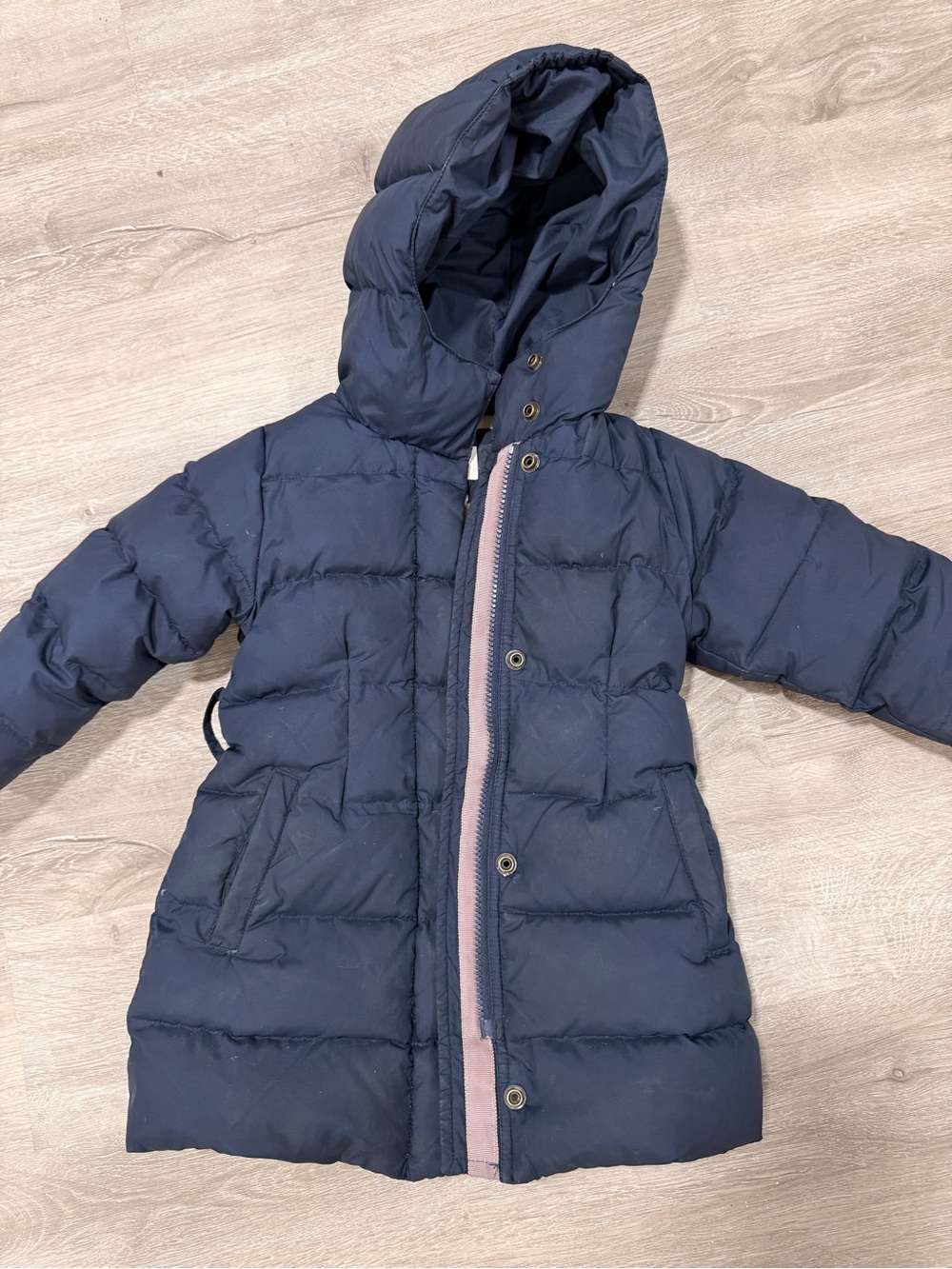 Crewcuts Navy Hooded Puffer Coat with Pink Trim